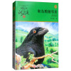 升级版动物小说大王沈石溪·品藏书系：和乌鸦做邻居