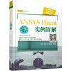 ANSYS Fluent 实例详解