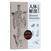 简读本：人体解剖与绘画应用