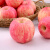 梅珍 红富士苹果 新鲜水果脆甜苹果当季水果整箱 中大果带箱5斤(75-80mm)