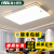雷士照明LED吸顶灯 1.2米客厅灯长方形卧室灯 50*50高光45瓦