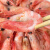 京鲜生（mr seafood） 京鲜生 熟冻北极虾净虾1900g盒装 70-90只\\kg 海鲜大虾