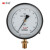 红旗 YB-150精密压力表水压表空气压表高精度真空压力表液压精度0.4,M20*1.5,径向 0-25MPA 