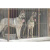 旺园兴狼青幼犬活体中大型工作犬灰色狼青 宠物级 C 公 x 幼年犬(45日龄-12月龄)