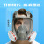 扬笙福防毒面具全面罩喷漆防尘口罩全脸头罩放毒氧气化工气体专用防护罩 6800主体面具