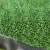 巨成云 仿真人造草坪地毯 塑料假草皮 绿植绿色地毯 单色草 25针加厚草高1.5cm 宽2米*长25米【无背胶】