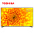 东芝（TOSHIBA）65U3800C 65英寸 4K超高清 智能语音 火箭炮音效 16GB大内存 纤薄液晶教育电视机