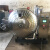 汇泰华大型冻干机冷冻干燥机冻干机-50°C空压机真空冻干机实验室 ZKML-10型(普洱冻干机)
