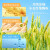 双枪（Suncha） 菜板小麦砧板99%抗菌切菜板防霉双面案板 绿色-360*260mm