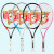 天龙（Teloon） 网球拍初学者男女大学生碳素复合一体训练网拍单拍 SensusX 8色可选+4个训练球