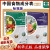 【套装2册】中国食物成分表 标准版第6版第1册+第2册