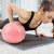 艾美仕 AiMeiShi 迷你瑜伽球 普拉提器材小球 平衡健身训练25CM嫩芽绿