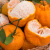 【传统年货】椪柑 柑橘优级桔子3斤 酸甜口感橘子 新鲜自营水果