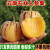 拉尔庄园云南人参果 新鲜人生果黄肉圆果 当季水果 大果（单果80-100g） 3斤