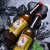 青岛麦考熊精酿小麦白啤330ml*24瓶(九尾）整箱特级全麦精酿啤酒 原浆啤酒 24瓶整箱装