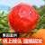 解春馋 血橙 江西赣南脐橙 红肉橙子 新鲜红血橙水果 4.5斤大果彩箱