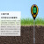 惠利得土壤测试仪土壤湿度计soil温度土壤ph计四合一土壤检测仪