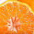 百觅 四川春见耙耙柑 粑粑柑 橘子 桔子 8.5-9斤 果径80mm以上 特级大果 新鲜水果