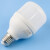 冰禹 GPM-399 led大功率灯泡 E27螺口白光照明 高亮节能正白光 小白款15W（2个/件）
