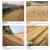 兰诗（LAUTEE) QD142 草籽生物毯 生态绿化河道固土护坡纤维加厚椰丝草种植生毯 2m*1m