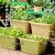 爱丽思（IRIS）种菜盆蔬菜种植箱塑料花盆特大号阳台种菜神器户外花箱种花菜盆 热款 大(70cm长)绿色 送隔网