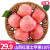 山西红富士苹果 新鲜水果 当季时令生鲜生鲜苹果整箱绿色食品 【精选装】净重8.5-9斤果径约80-85mm