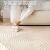 DEEMOON 防水硅藻丝客厅地毯防滑抗污沙发茶几卧室大面积奶油风160*230cm