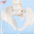 仁模RM-105自然大脊椎模型成人1:1比例人体脊柱带尾骨模型带颈椎胸椎尾椎骨骼模型