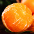 京鲜生 爱媛38号果冻橙  2.5kg装 单果150g以上 柑橘橙 新鲜水果