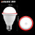 西野（SHARE）E27螺口灯头灯座 走廊过道 LED灯泡灯口平底插座 白色 86明装灯座 白色 10W声光控球泡 