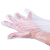 大杨029一次性PE手套 500只 餐饮卫生手套透明触屏手套