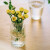 恰好时光 日式敞口玻璃花瓶鲜花花瓶 水培植物花瓶 插花瓶 干花鲜花插花瓶摆件玻璃瓶 客厅装饰摆件12cm