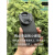 雷米瑞适用于小米14pro手机摄影保护壳外接CPL偏振星光抗光害ND减光 模拟单反套装(变焦蓝牙手柄) 67mm