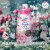 日本进口 花王KAO新款玫瑰香洗衣液洗衣粉 780g 含柔顺剂 香味持久