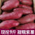 枝遥（ZHIYAO）紫薯 紫罗兰10斤装带箱沙地紫薯红薯 新鲜现挖 蔬菜地瓜农家 带箱9-10斤精选品质   紫薯