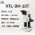 彼爱姆 XTL-BM-18T 体视显微镜  1-3天