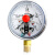 红旗YTNXC-100耐震电接点压力表径向标准螺纹M20*1.5触点电压30VA 0~1MPA 其他