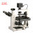 BM上海彼爱姆倒置生物显微镜实验室数码生物显微镜 BM-37XFD 
