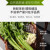 北菜园北菜园芹菜有机芹菜450g新鲜有机蔬菜，轻餐榨汁蔬菜蔬菜北京产地