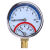 地暖分水器压力一体表地热压力表1分2分水压打压温度双显 1寸温度压力双显表(堵头式)