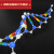 脱氧生物遗传基因教学仪器实验器材组装简单旋转自如分子模型 DNA