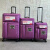 萱帛行李箱28寸出国出口高品质超轻行李箱航空托运留学20英寸牛津 玫瑰紫 20英寸超轻扩容