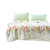 富安娜（FUANNA）加厚双层云毯 复古毛毯拉舍尔毯子柔软床单毯双人绒毯沙发毯 双层舒柔毯\雀语兰香(2500g) 180*200cm