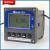 惠利得原装PC3110工业在线控制器PH/ORP检测污水酸碱值仪表 原装梅特勒405-60（单电极）