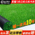 仿真草坪地毯人工铺垫人造塑料草绿色围挡足球场幼儿园假草皮户外定做 2厘米特密春草【50厘米宽100厘米长】