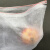 白色无纺布水果筐内衬袋苹果橙子篮筐套袋防尘透气包装抽绳可定制 长宽120*110（大筐）100条