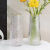 桃李世家日杂小件n玻璃透明花瓶摆件客厅插花干花鲜花富贵竹水培花瓶家用 竖纹两个 不带金边