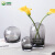 吕姆克花瓶玻璃植物插花瓶水培容器高档客厅摆件装饰大号灰色高19cm7788
