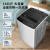 创维（SKYWORTH）10公斤洗衣机全自动波轮 家用租房 老人专用 一键脱水 健康桶自洁桶风干 T100F