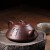 藏壶天下 宜兴紫砂壶名家戴尔其全手工收藏精品茶壶刻绘东坡石瓢 紫泥款